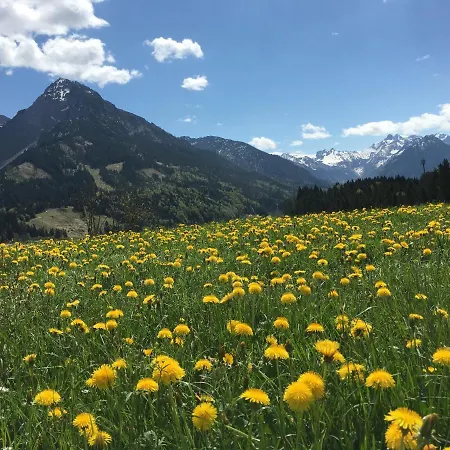 Bergfex Ifenblick Mit Sommer-Bergbahnticket Oberstdorf Buitenkant foto