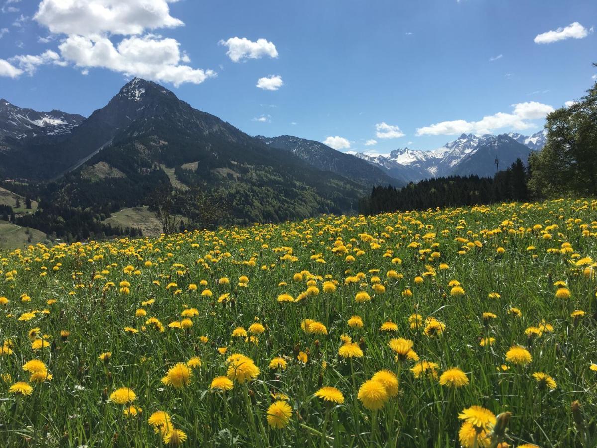 Bergfex Ifenblick Mit Sommer-bergbahnticket Apartment *